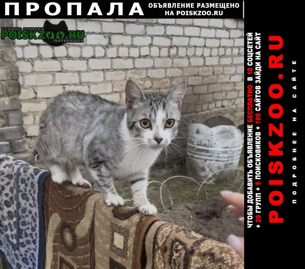 ���� ������ ���