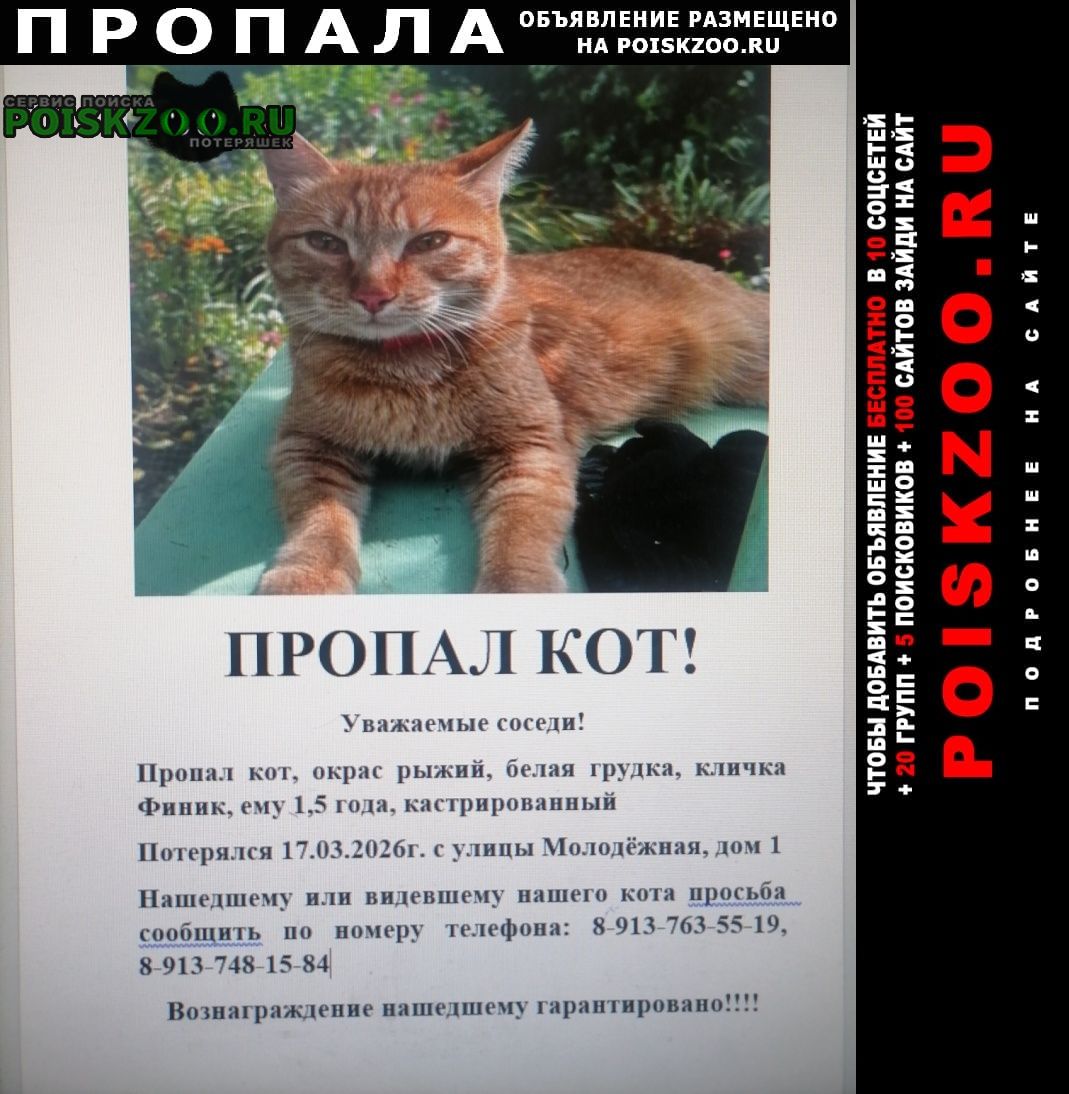 ���� ������ ���