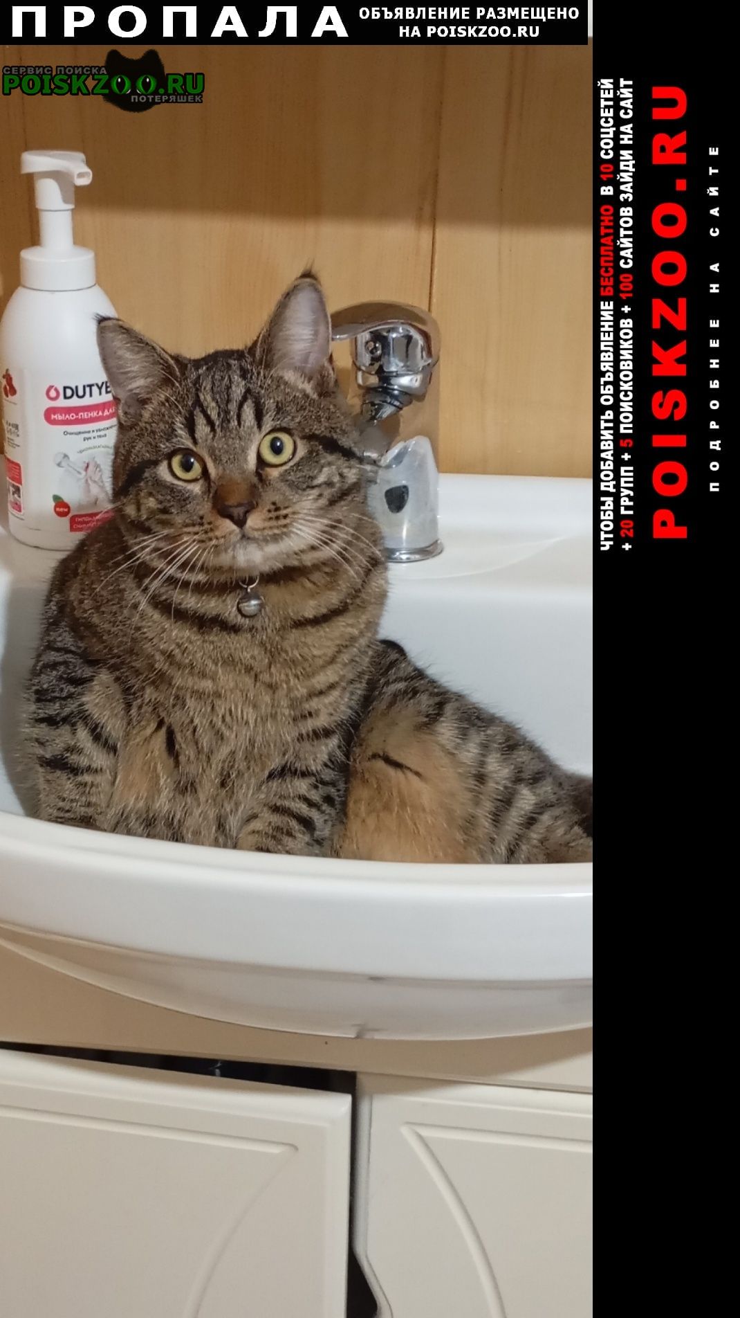 ���� ������ ��� � ���������