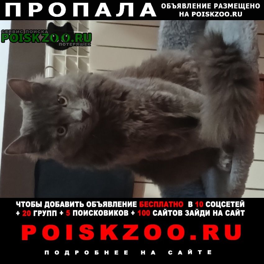 ���� ������ ���