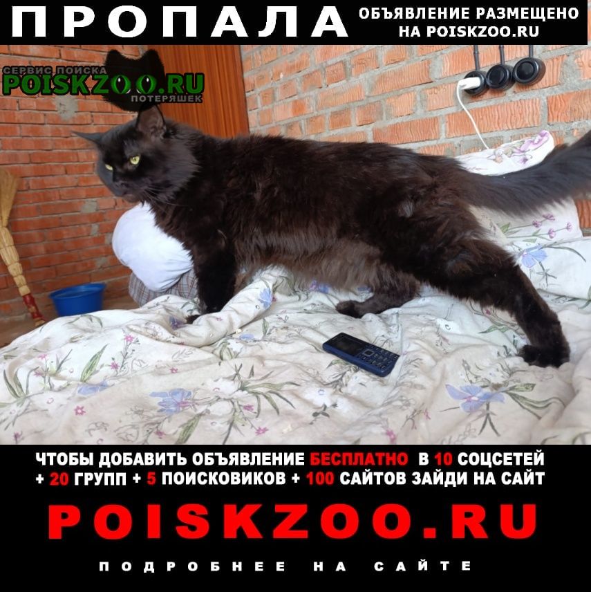 ���� ������ ��� ������ ��� ����-���