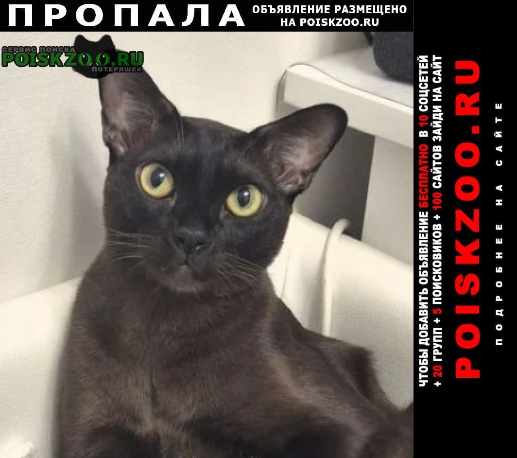 ���� ������ ���