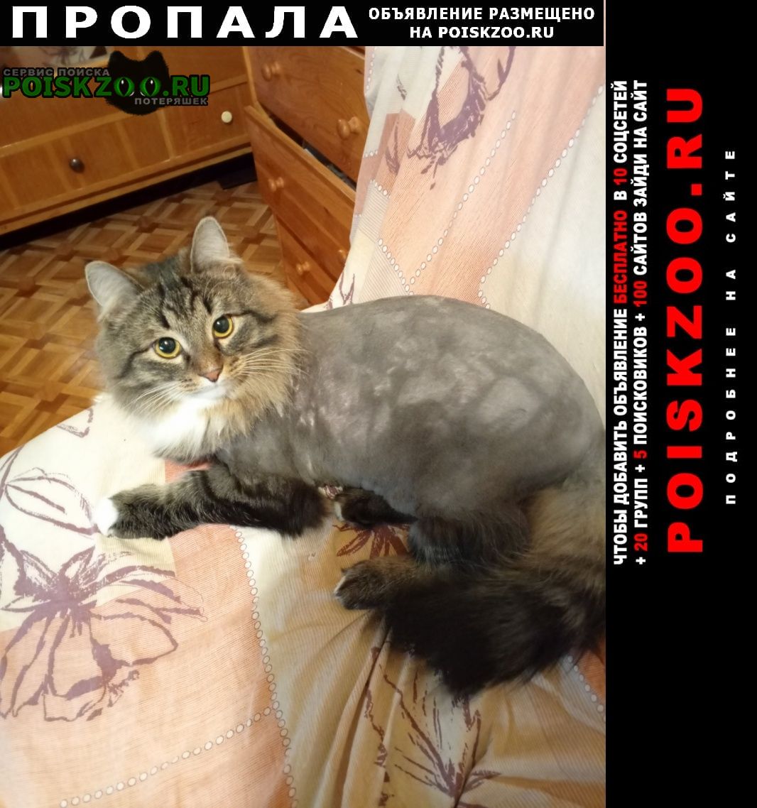 ���� ������ ���