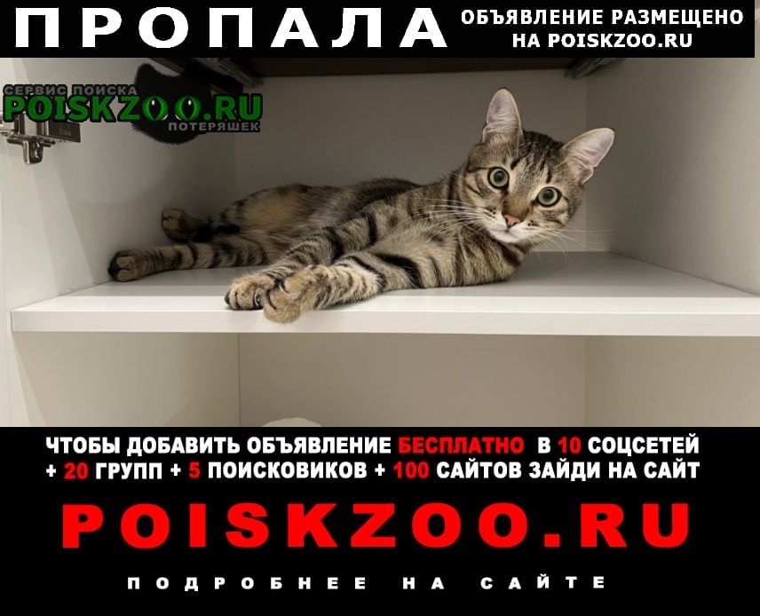 ���� ������ ��� ��