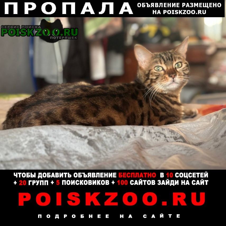 ���� ������� �����