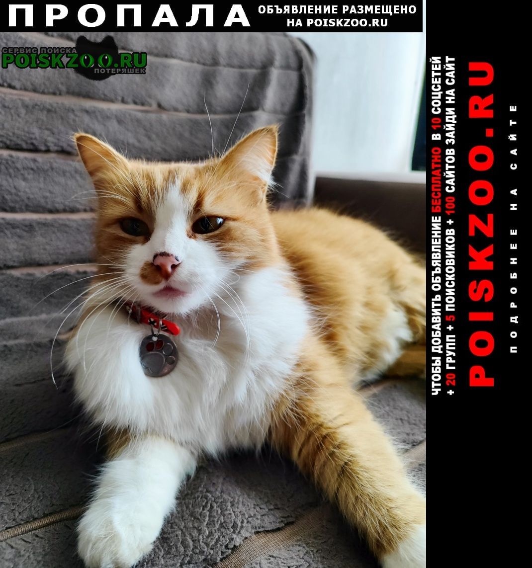 ���� ������� ����� �������� �����