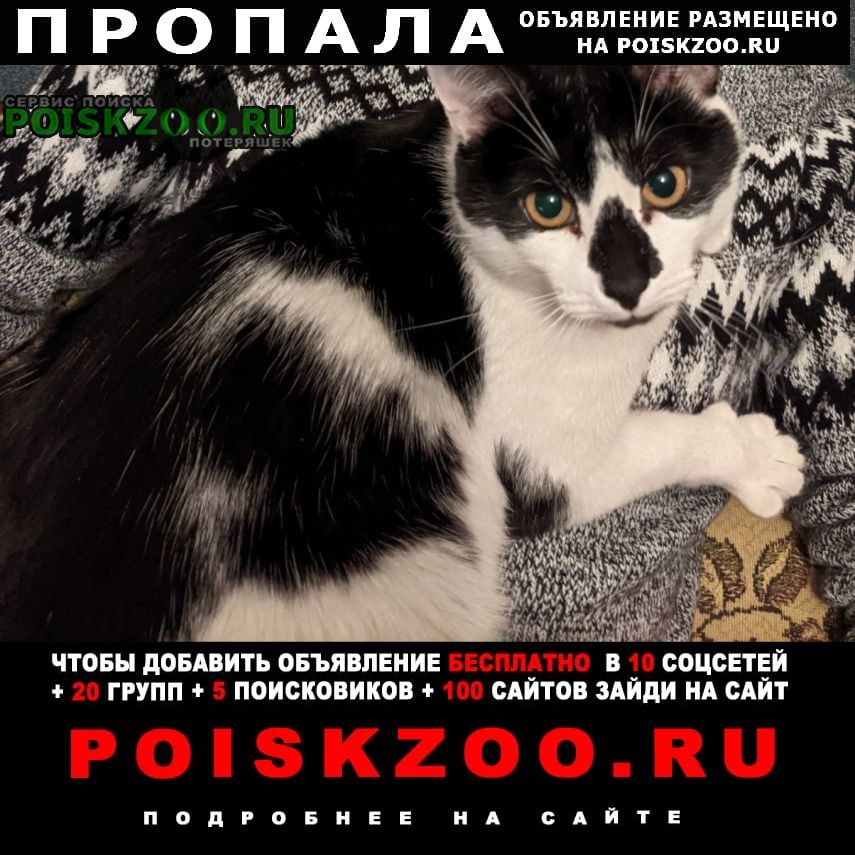 ���� ������ ��� � ���� ������ �����