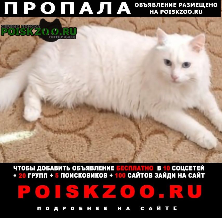 ���� ������ ���