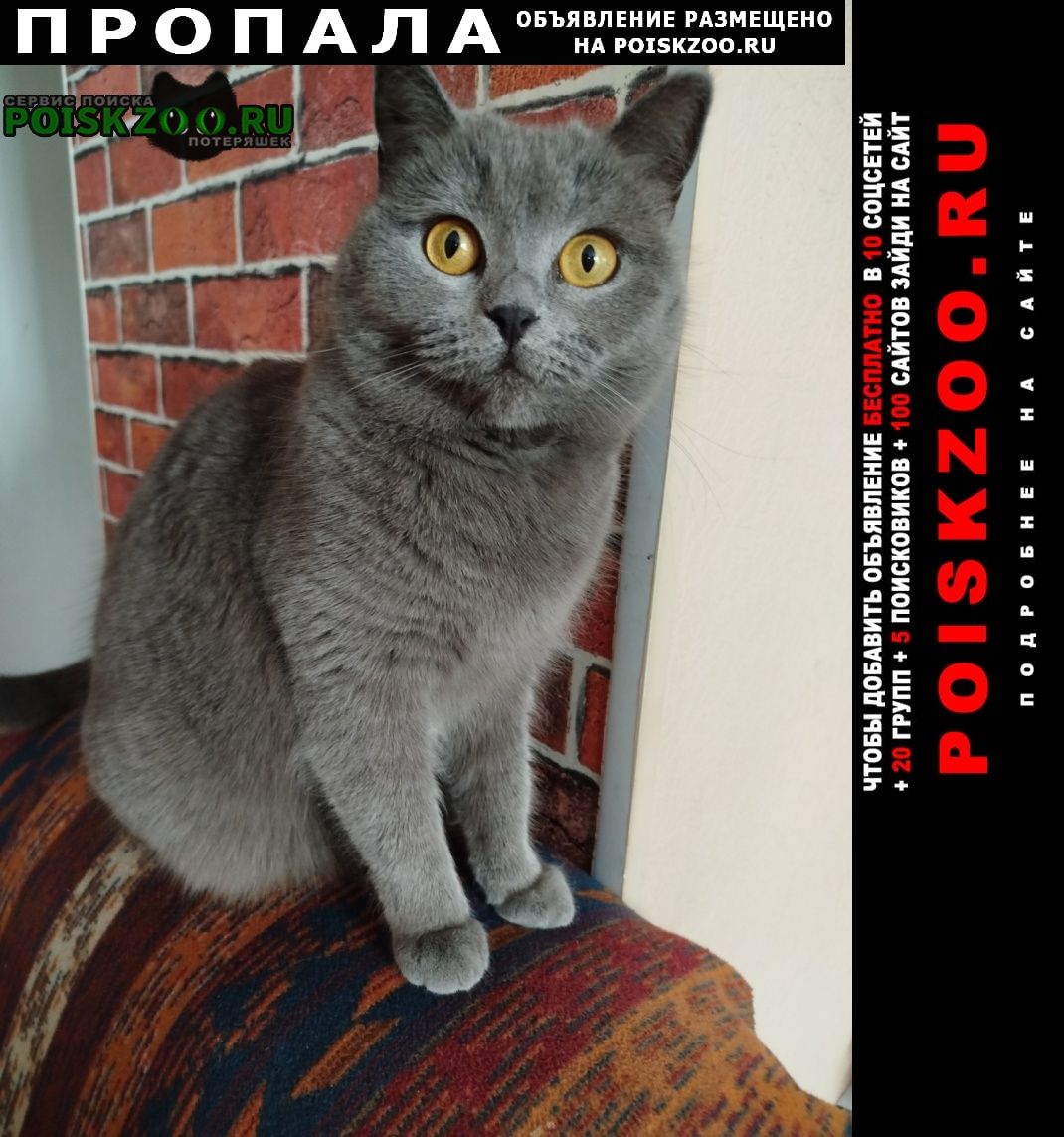 ���� ������� ����� ����� ��������