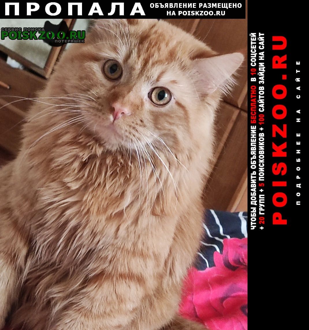 ���� ������ ��� �������� ����� ��������� �������