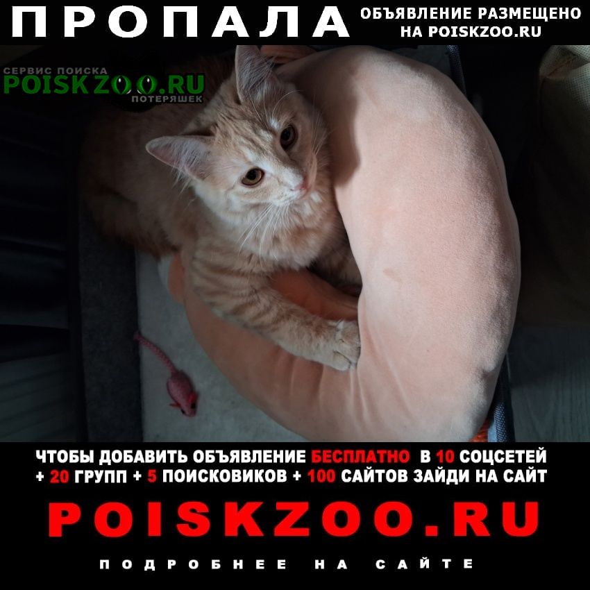 ���� ������� ����� �������