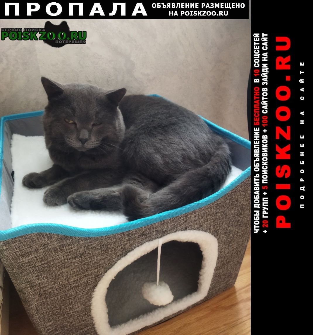 ���� ������ ���