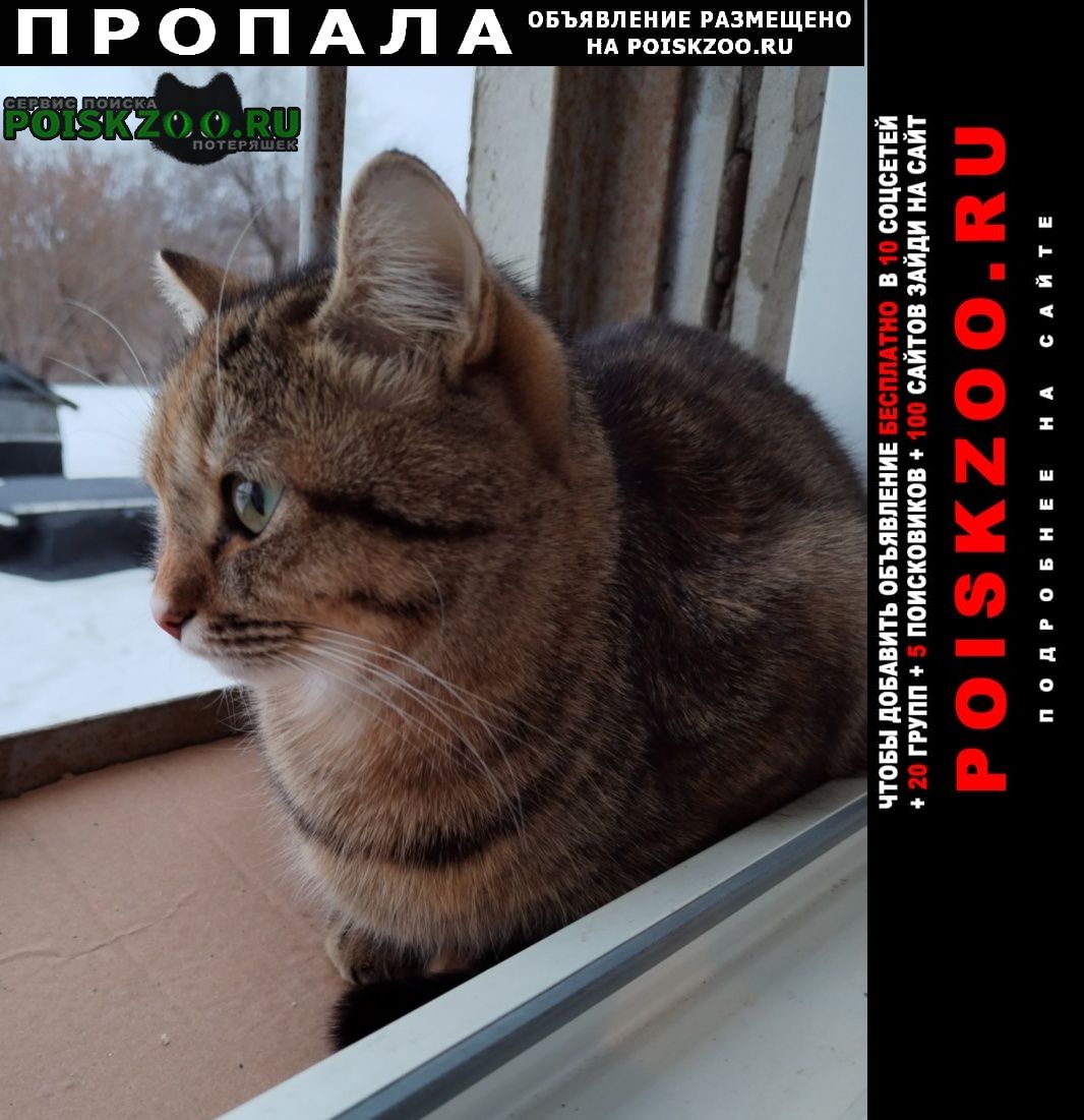 ���� ������� ����� � �������� � ������ ���-�.