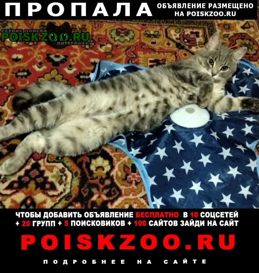 ���� ������ ���