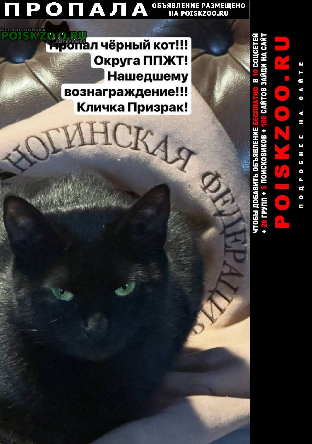 ���� ������ ���