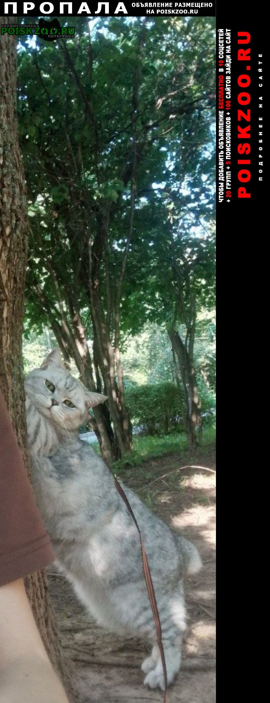 ���� ������� �����