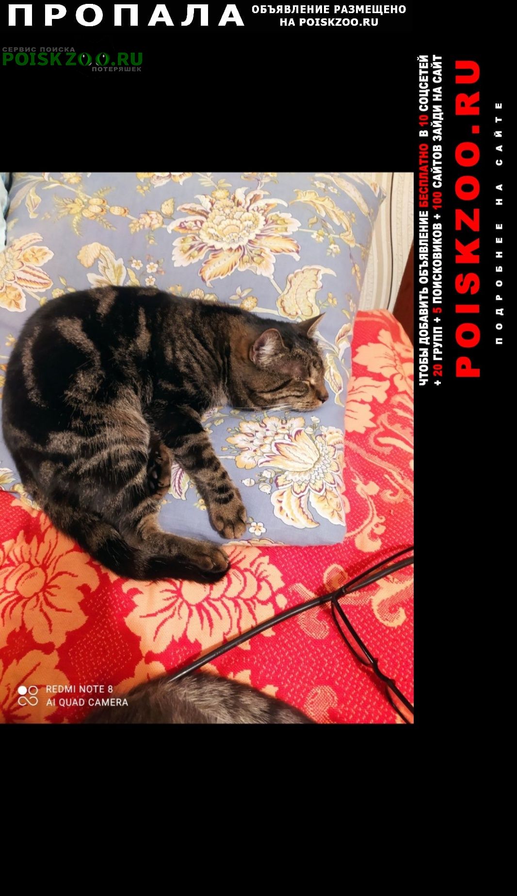 ���� ������ ��� �������������� ���