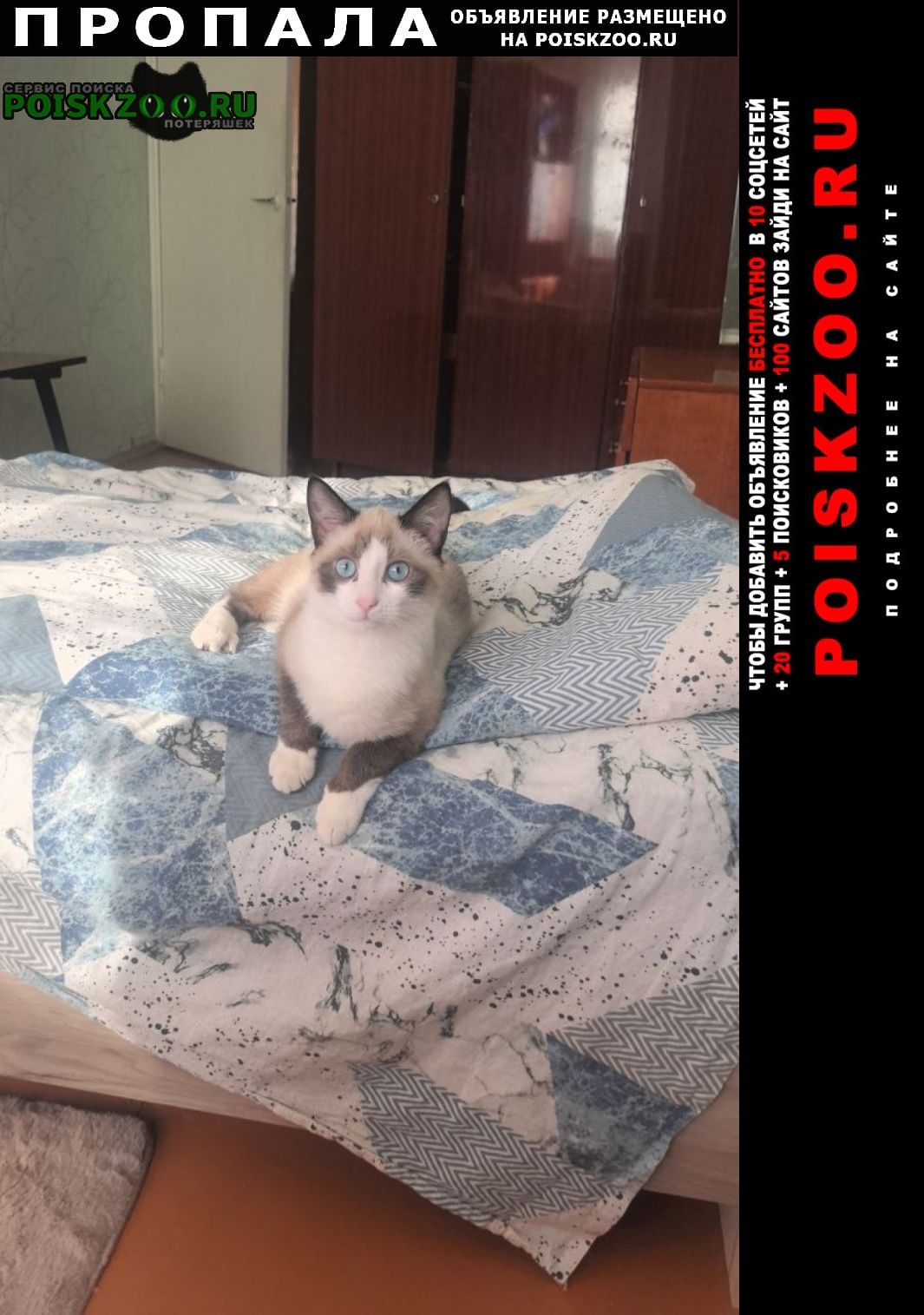 ���� ������ ��� �������� ����� ����