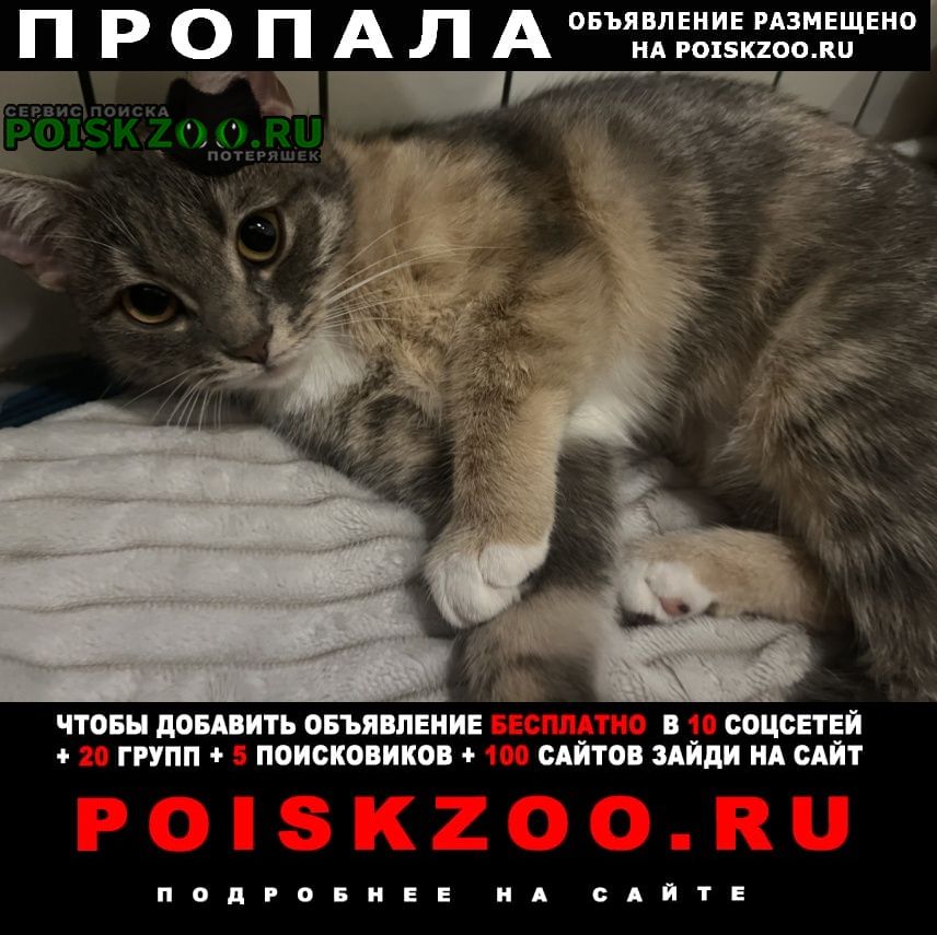 ���� �������� ����� ������ �������