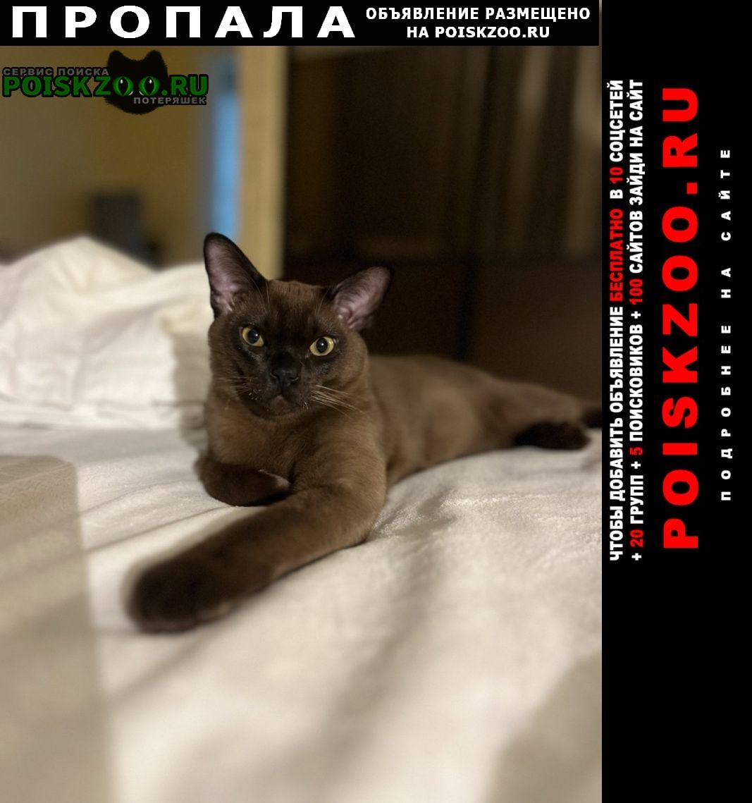 ���� ������ ��� ����������� �����, ���������� �����
