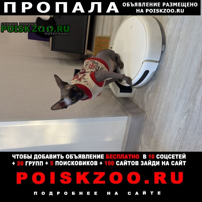 ���� ������� ����� �. ������� ������