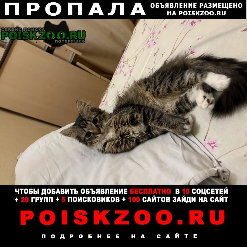 ���� ������� ����� ����������� �� ��� ����