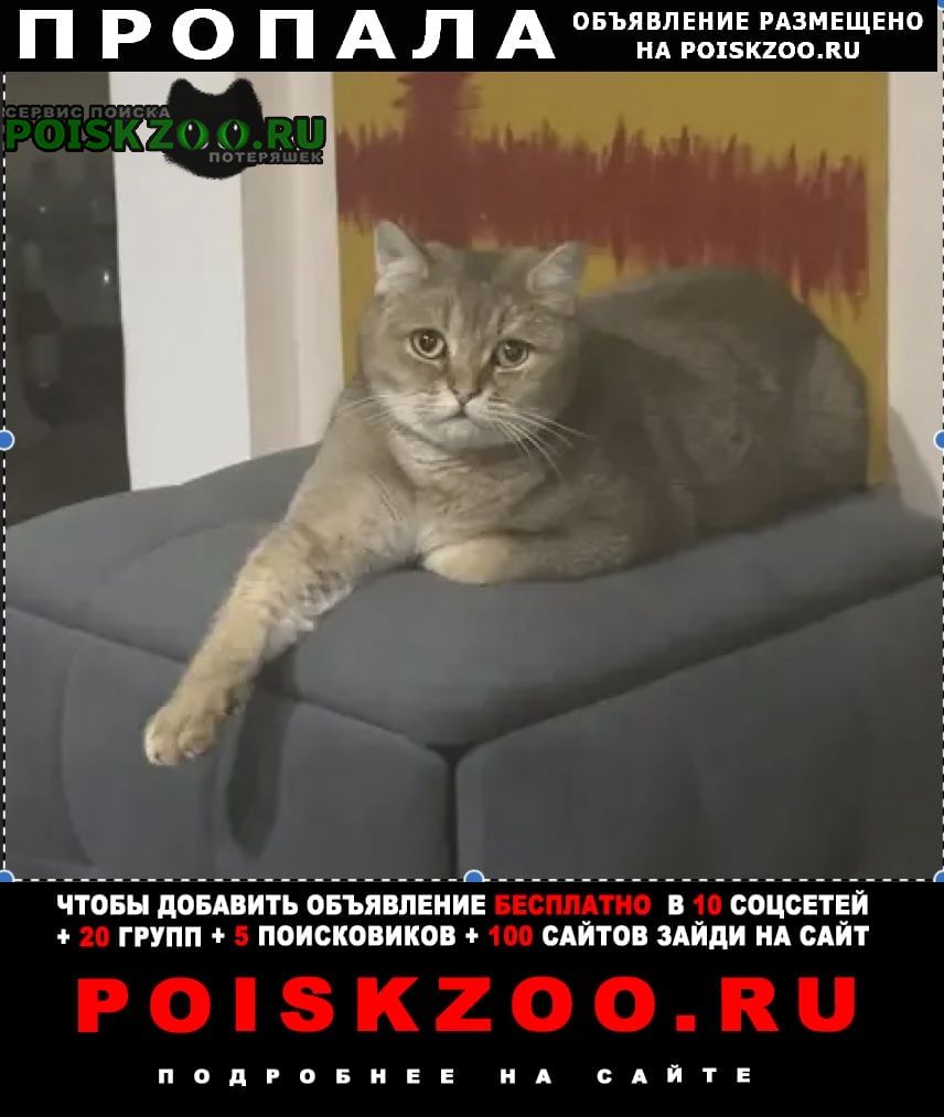 ���� ������ ���