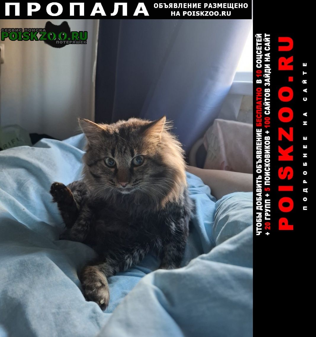 ���� ������ ��� �������� ������� ������