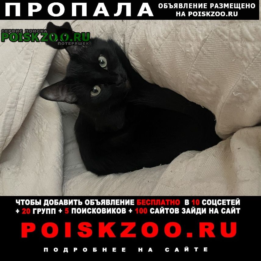 ���� �������� ����� ������ �������� ��� � ������ ����� �����