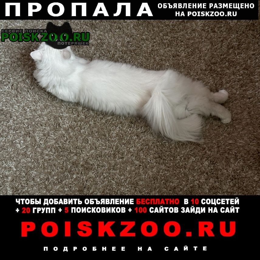 ���� ������� �����
