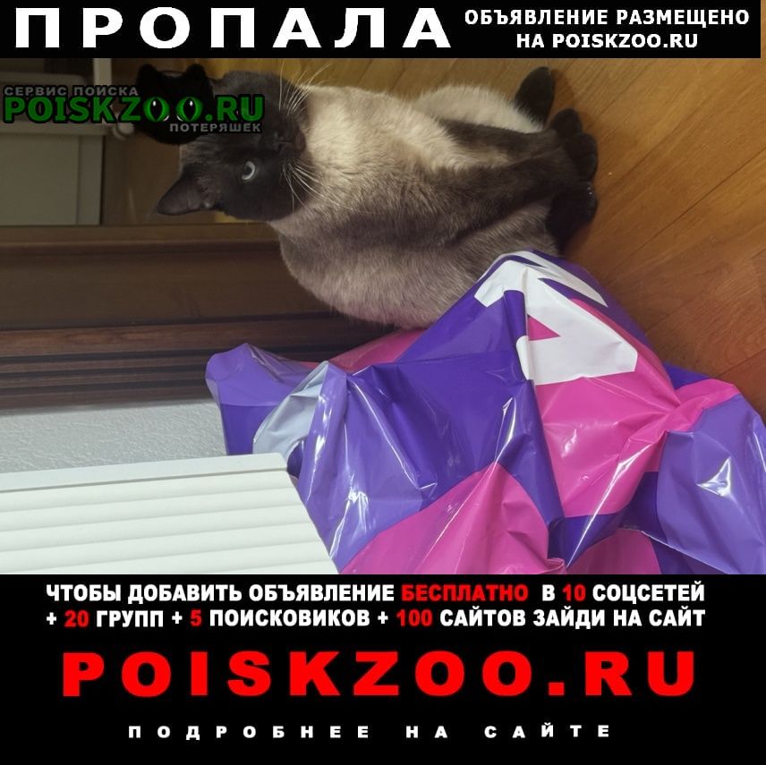 ���� ������ ���
