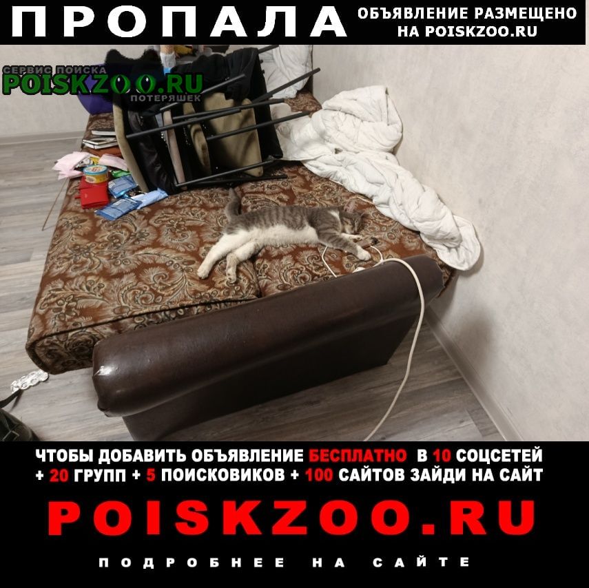 ���� ������ ��� 5 ��� ������ 10 �