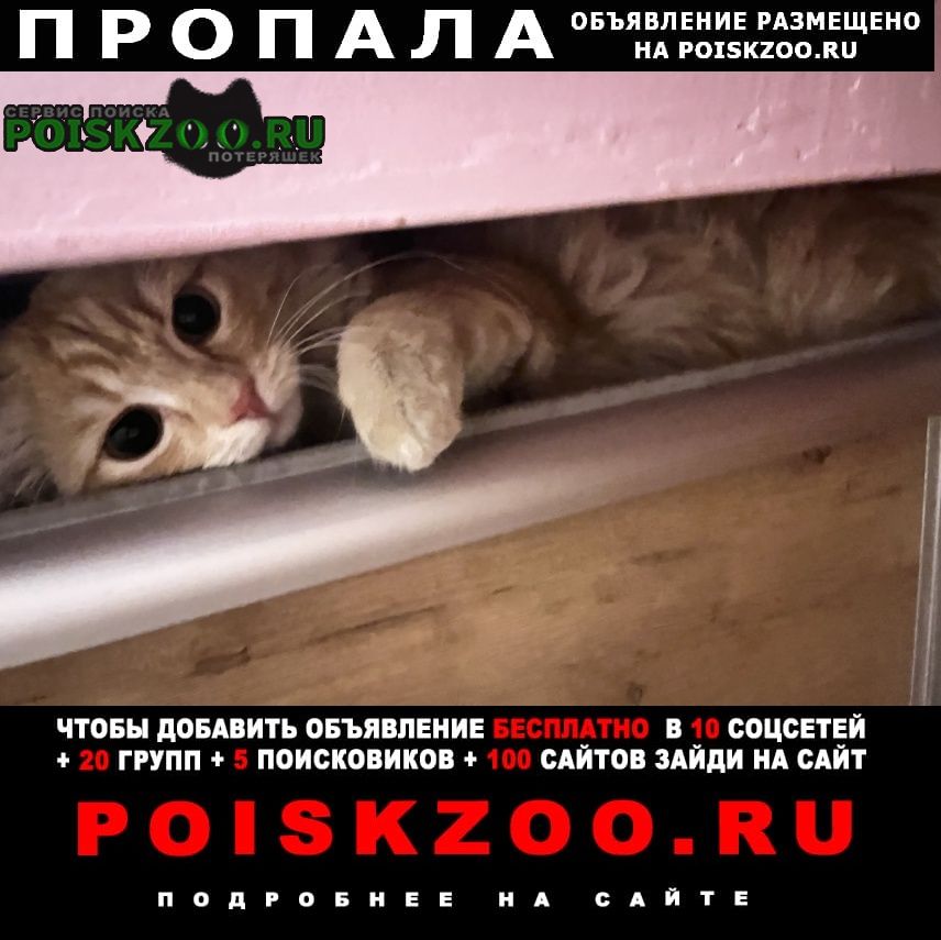 ���� ������ ���
