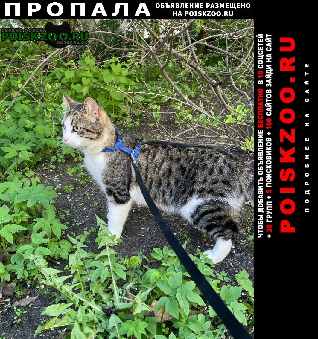���� ������ ��� ������� � 19:00 17 ���