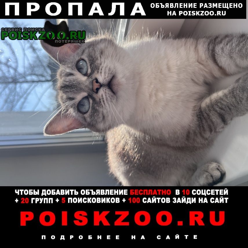 ���� ������� ����� �������������� ����� ������