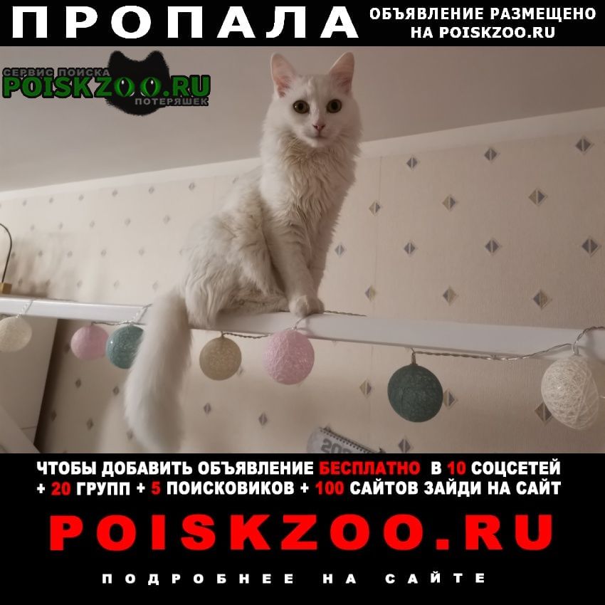 ���� ������� ����� ����� ������