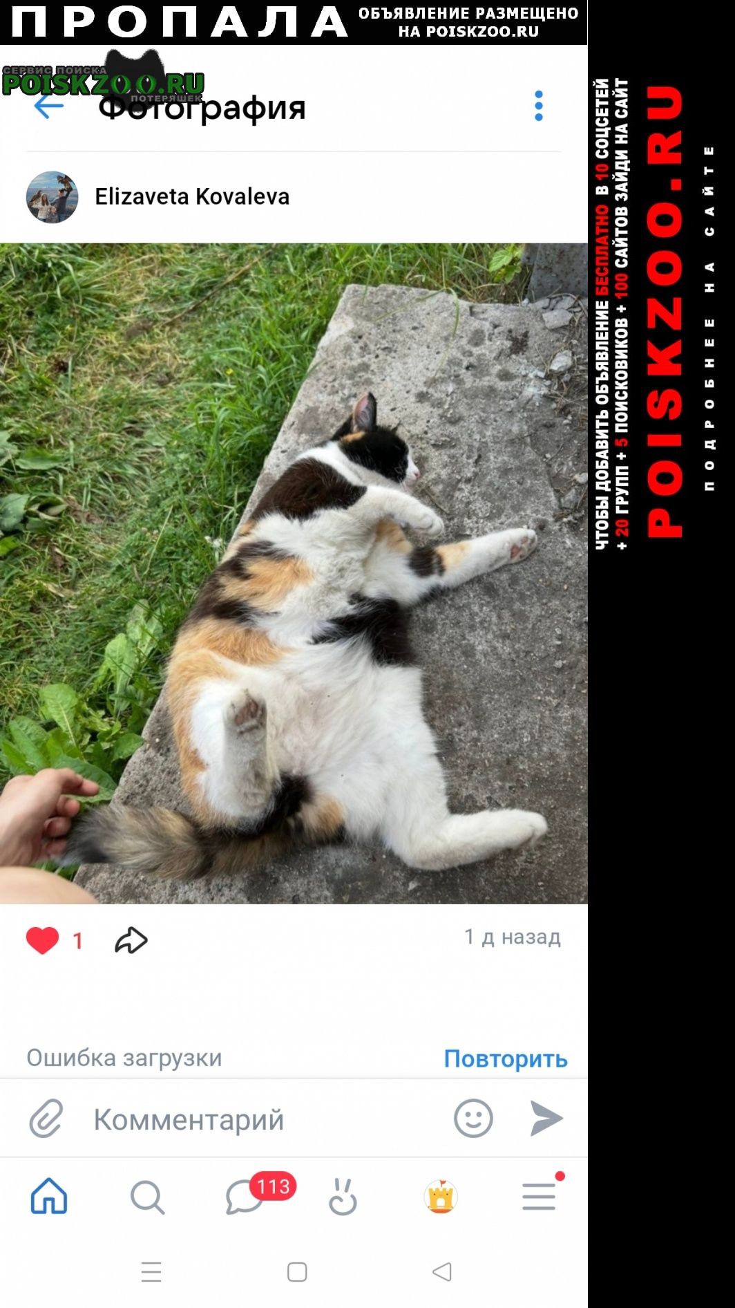 ���� ����� ���