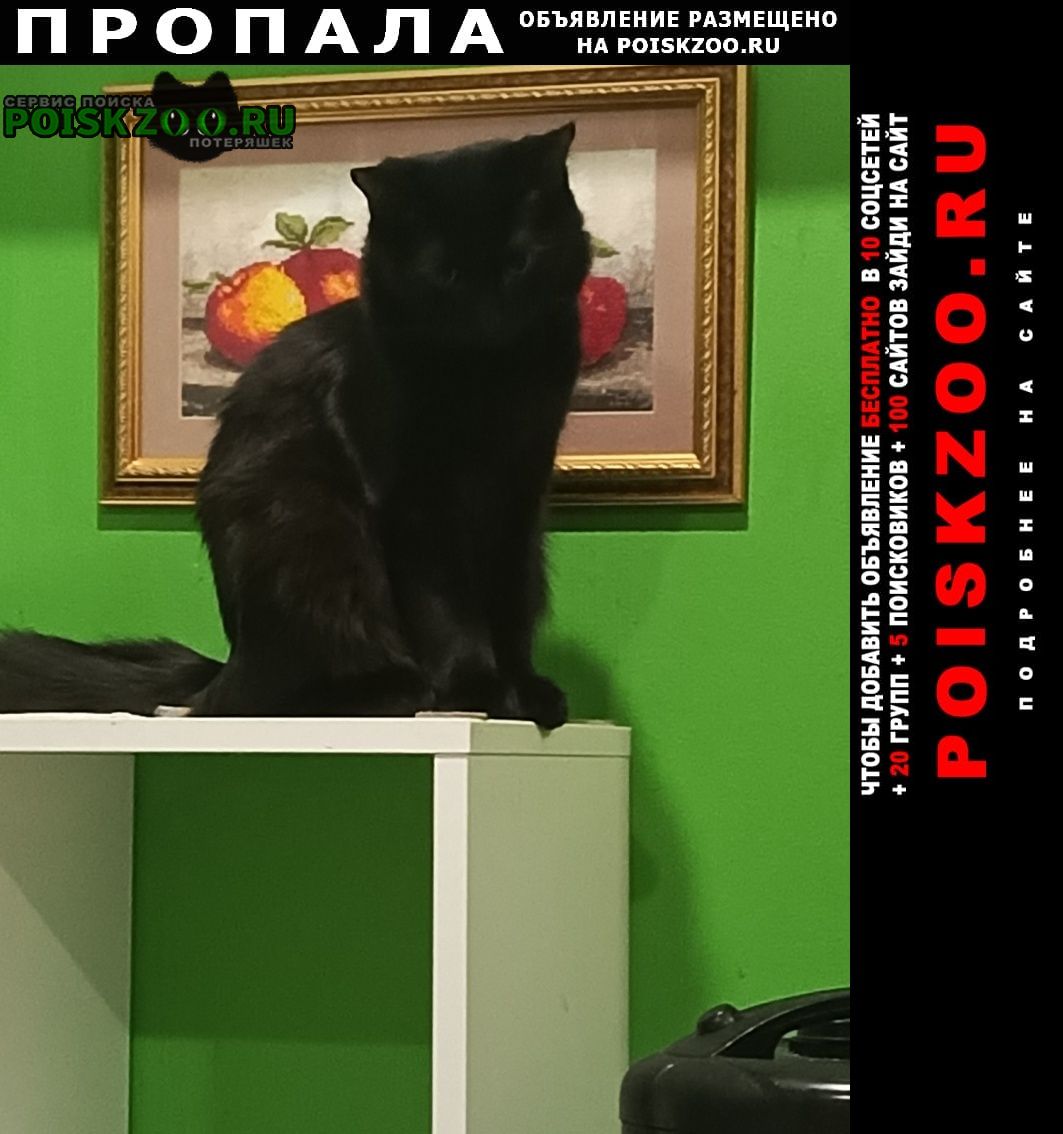 ���� ������ ���
