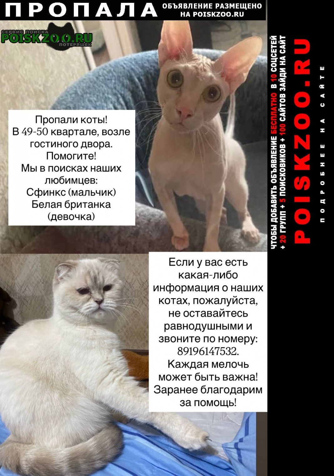 ���� ������� ����� � ���� ��������