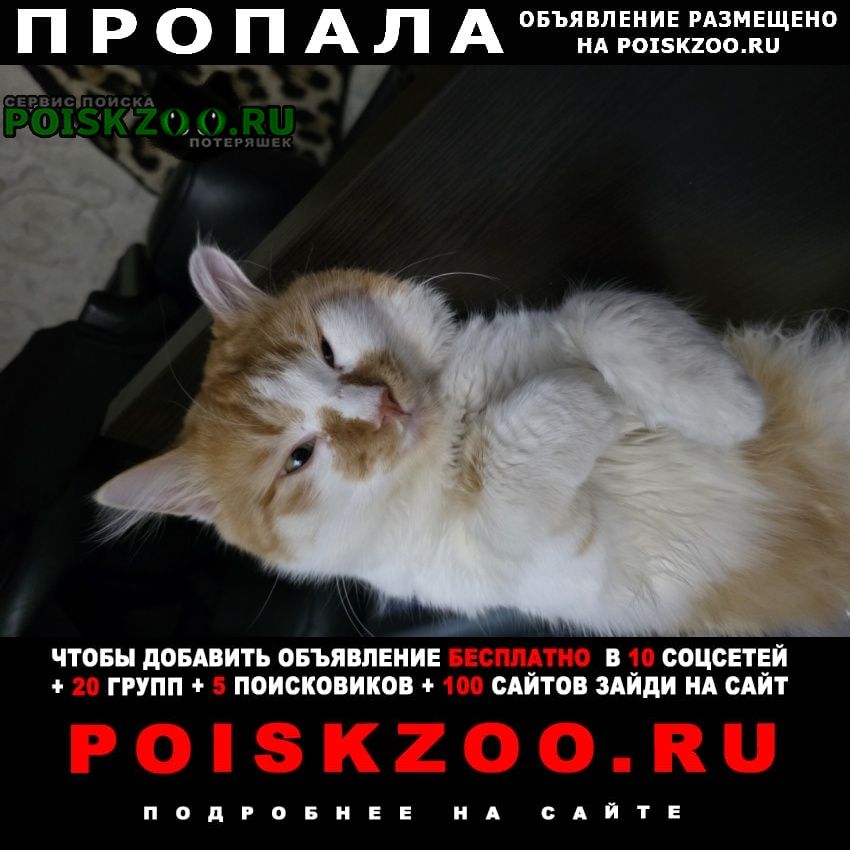���� ������ ��� �������� ����� �� ��������������