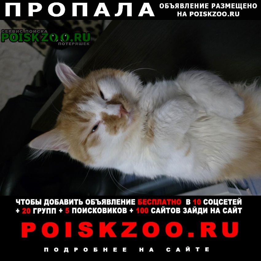 ���� ������� ����� �������� ����� �� ��������������