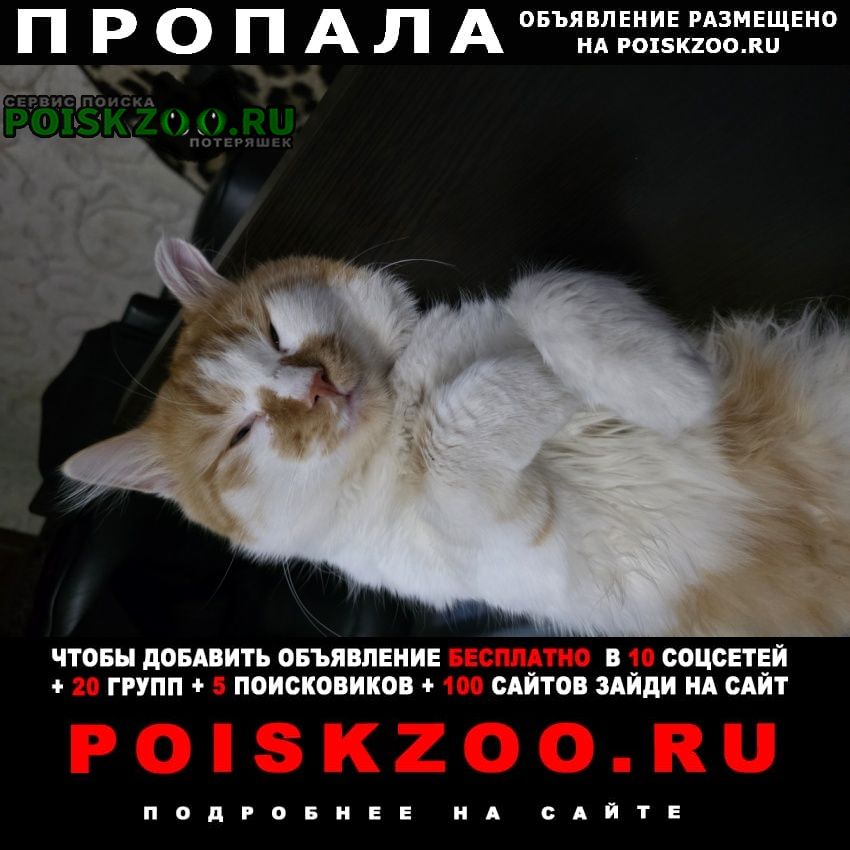 ���� ������� ����� �� ��������������