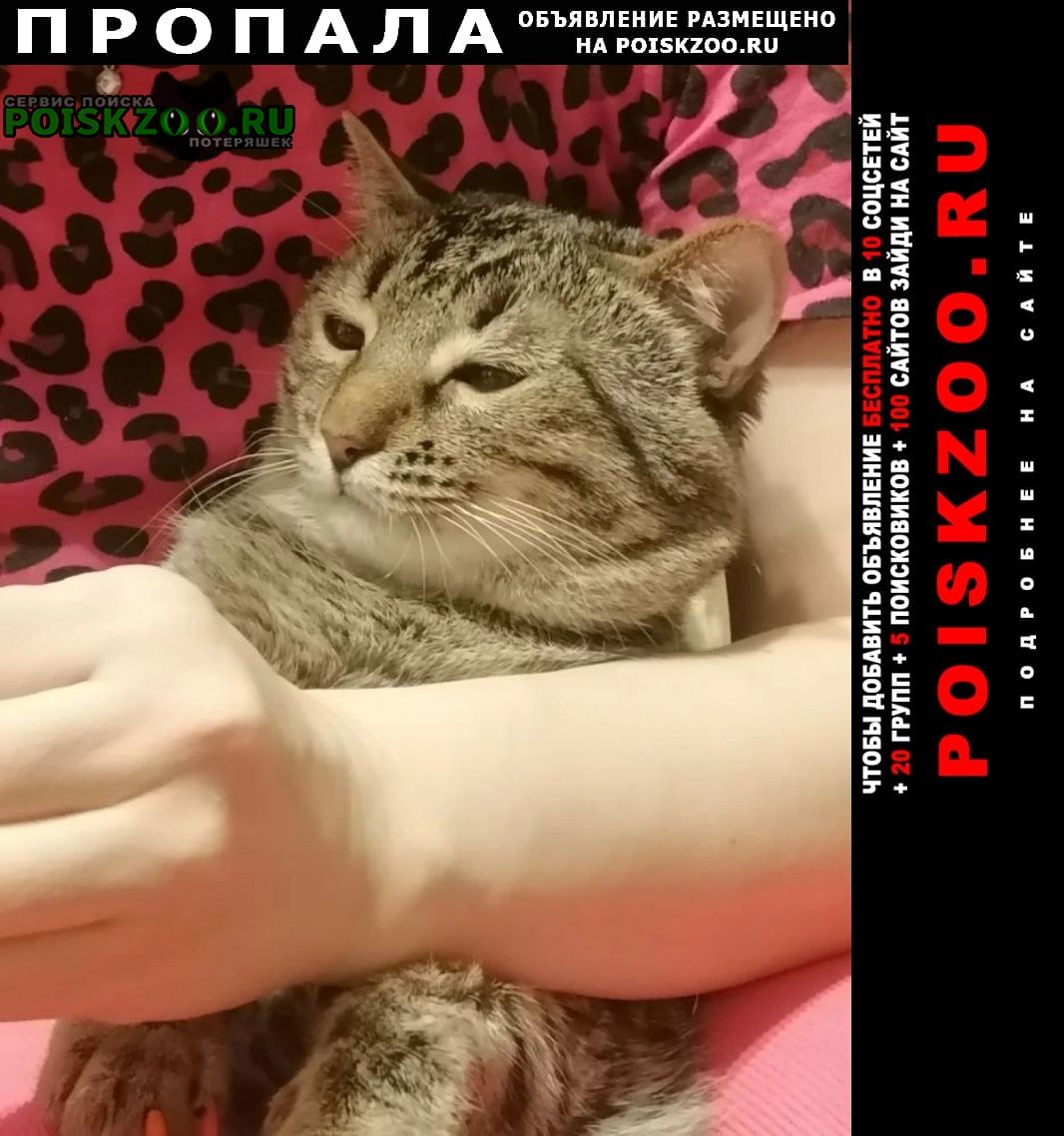 ���� ������ ���