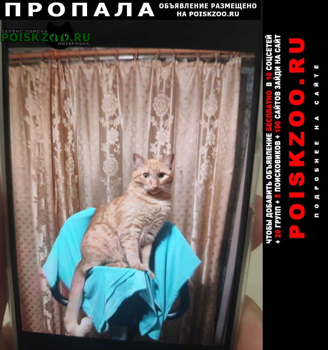 ���� �������� ����� ������ ����� ���
