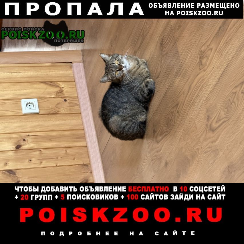 ���� ������� �����