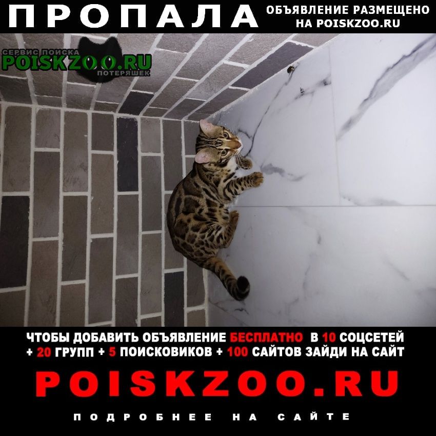 ���� ������ ��� ����������� ���