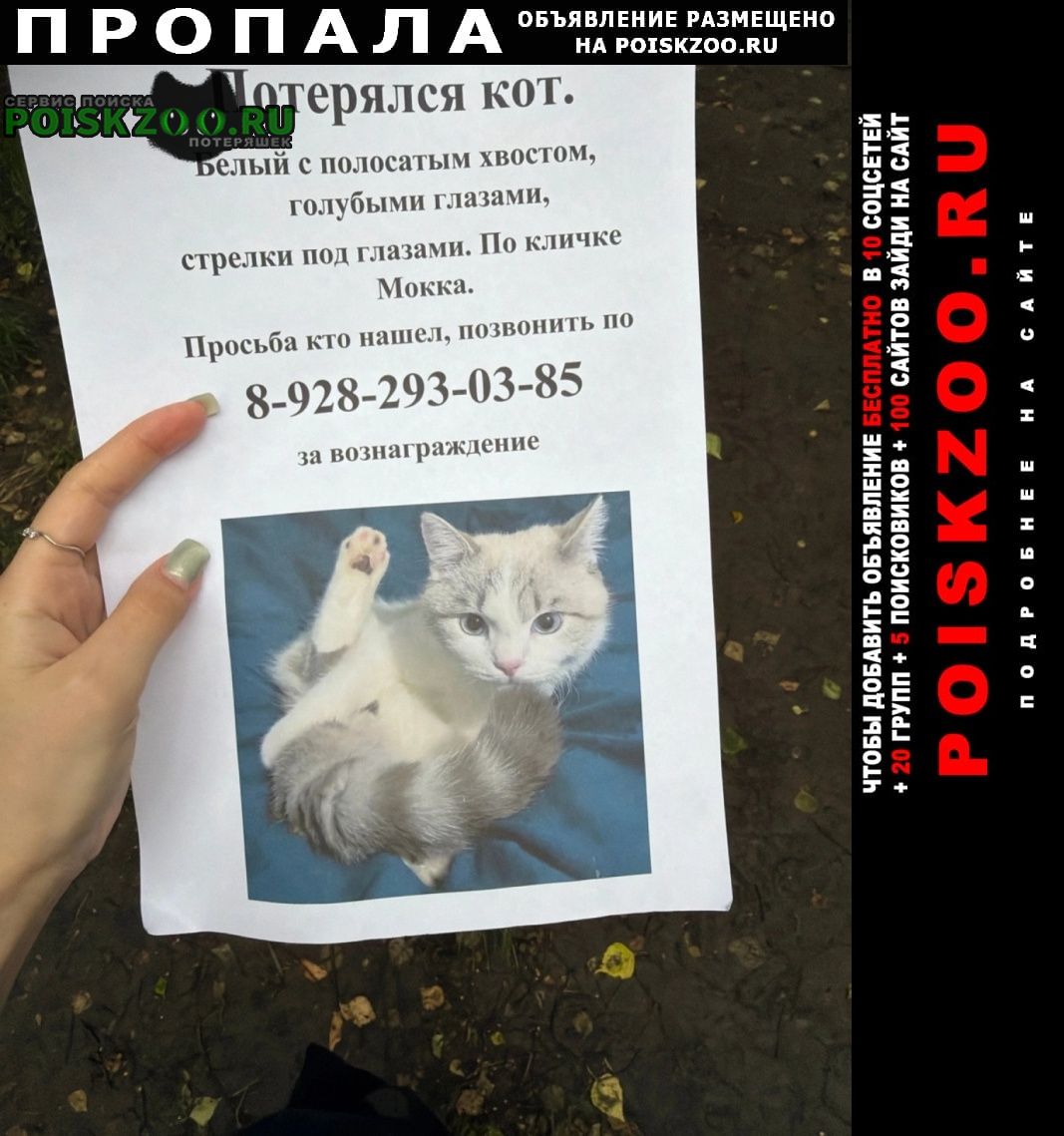 ���� ������ ���