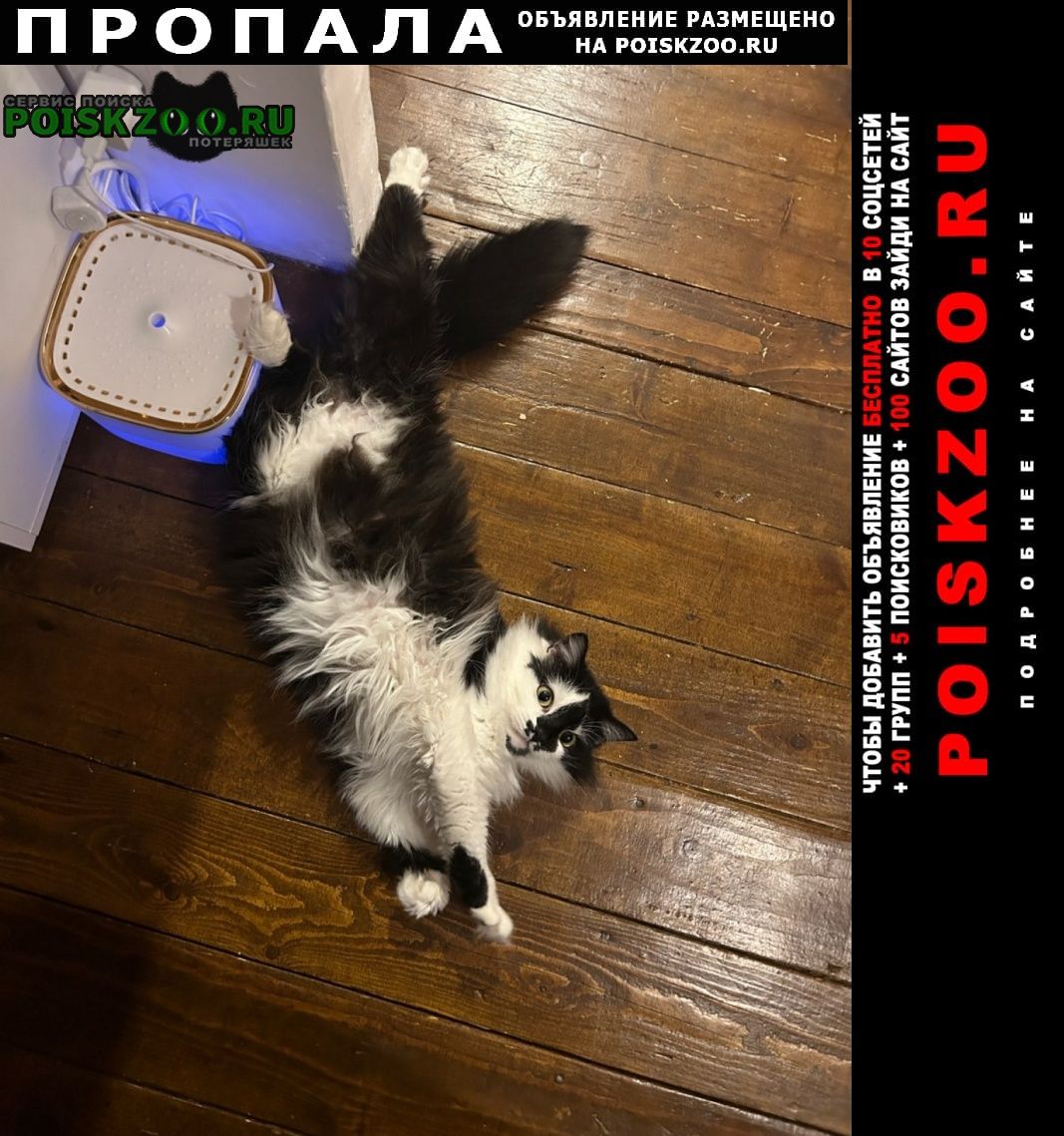 ���� ������� �����