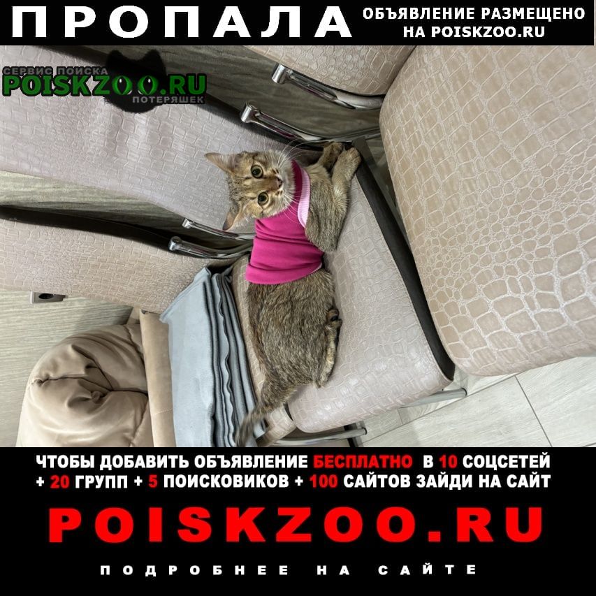 ���� ������ ���