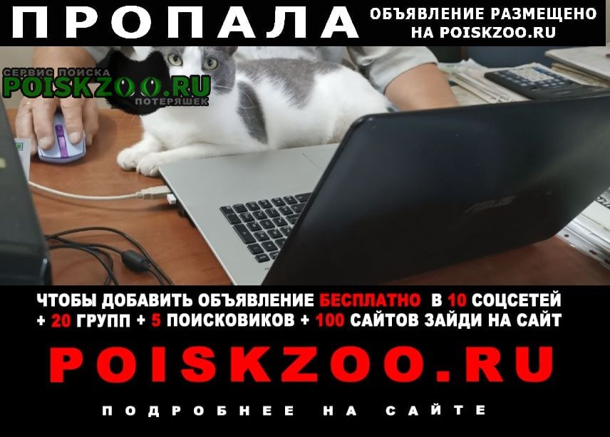 ���� ������ ���